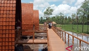 Warga Lombok Tengah memanfaatkan persawahan sebagai bungalow untuk tamu motor