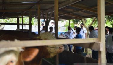 Riau pasarkan sperma beku di empat provinsi