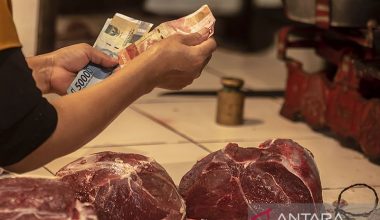 Akademisi: Memperbaiki sistem logistik dapat menurunkan harga daging