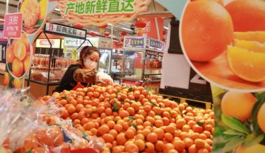 CPI China naik 0,9 persen pada Februari 2022