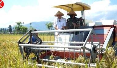 Solusi empat musim tanam padi dari BPTP Gorontalo - ANTARA News
